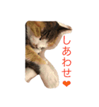 りのちゃんと仲間たち（個別スタンプ：10）