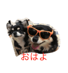 りのちゃんと仲間たち（個別スタンプ：15）