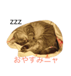 りのちゃんと仲間たち（個別スタンプ：16）