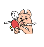 柴犬卓球（個別スタンプ：19）