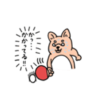 柴犬卓球（個別スタンプ：21）