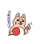 柴犬卓球（個別スタンプ：31）