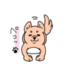 柴犬卓球（個別スタンプ：39）