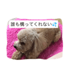 love love my dog（個別スタンプ：2）