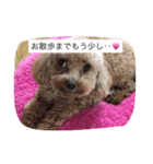 love love my dog（個別スタンプ：4）