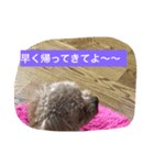 love love my dog（個別スタンプ：5）