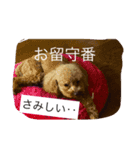 love love my dog（個別スタンプ：6）