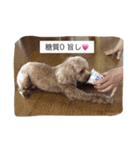 love love my dog（個別スタンプ：8）