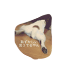 心さんのお気持ち（個別スタンプ：2）