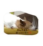 心さんのお気持ち（個別スタンプ：4）