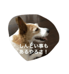 心さんのお気持ち（個別スタンプ：5）