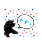 やまちゃーん（個別スタンプ：1）