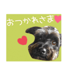 やまちゃーん（個別スタンプ：3）