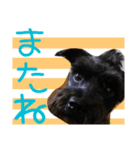 やまちゃーん（個別スタンプ：4）