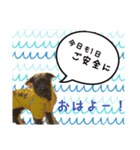 やまちゃーん（個別スタンプ：10）