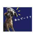 やまちゃーん（個別スタンプ：11）