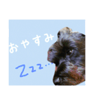 やまちゃーん（個別スタンプ：13）