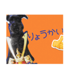 やまちゃーん（個別スタンプ：15）