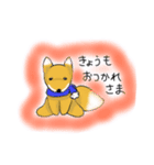 コンだよ（個別スタンプ：4）