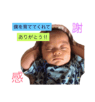 我が家のはるくん！（個別スタンプ：34）
