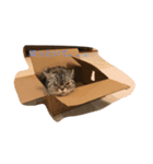 cattttt！（個別スタンプ：2）