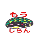 かめかめ（個別スタンプ：21）