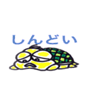 かめかめ（個別スタンプ：22）