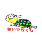 かめかめ（個別スタンプ：23）
