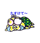 かめかめ（個別スタンプ：35）