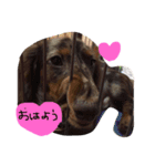 モカつん（個別スタンプ：1）