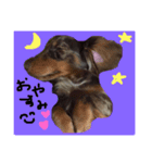モカつん（個別スタンプ：6）