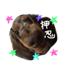 モカつん（個別スタンプ：7）