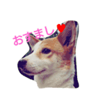 おちゃめな ちゃこちゃん（個別スタンプ：1）