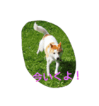 おちゃめな ちゃこちゃん（個別スタンプ：2）
