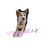 おちゃめな ちゃこちゃん（個別スタンプ：22）