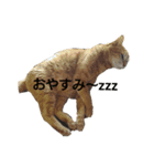 虎太郎と玉三郎と凛太郎（個別スタンプ：2）