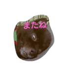 チョコポメ まぁきゅりー（個別スタンプ：11）