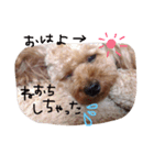 choco life（個別スタンプ：7）