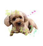 choco life（個別スタンプ：8）
