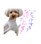 choco life（個別スタンプ：13）