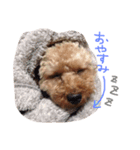 choco life（個別スタンプ：14）