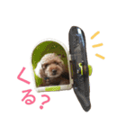 仔犬のロンド（個別スタンプ：3）