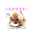 仔犬のロンド（個別スタンプ：10）