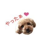 仔犬のロンド（個別スタンプ：12）