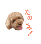 仔犬のロンド（個別スタンプ：14）