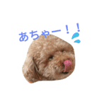 仔犬のロンド（個別スタンプ：15）