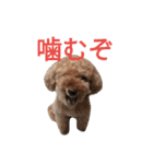 仔犬のロンド（個別スタンプ：17）