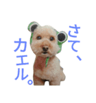 仔犬のロンド（個別スタンプ：21）