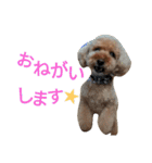 仔犬のロンド（個別スタンプ：22）