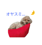仔犬のロンド（個別スタンプ：26）